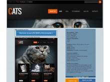 kitsgratuits.com - Kits gratuits pour sites web