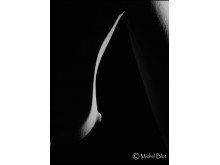 Michel Blot - Galerie animée noir et blanc et couleur