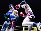 Supra Fight - Boxe thaïlandaise